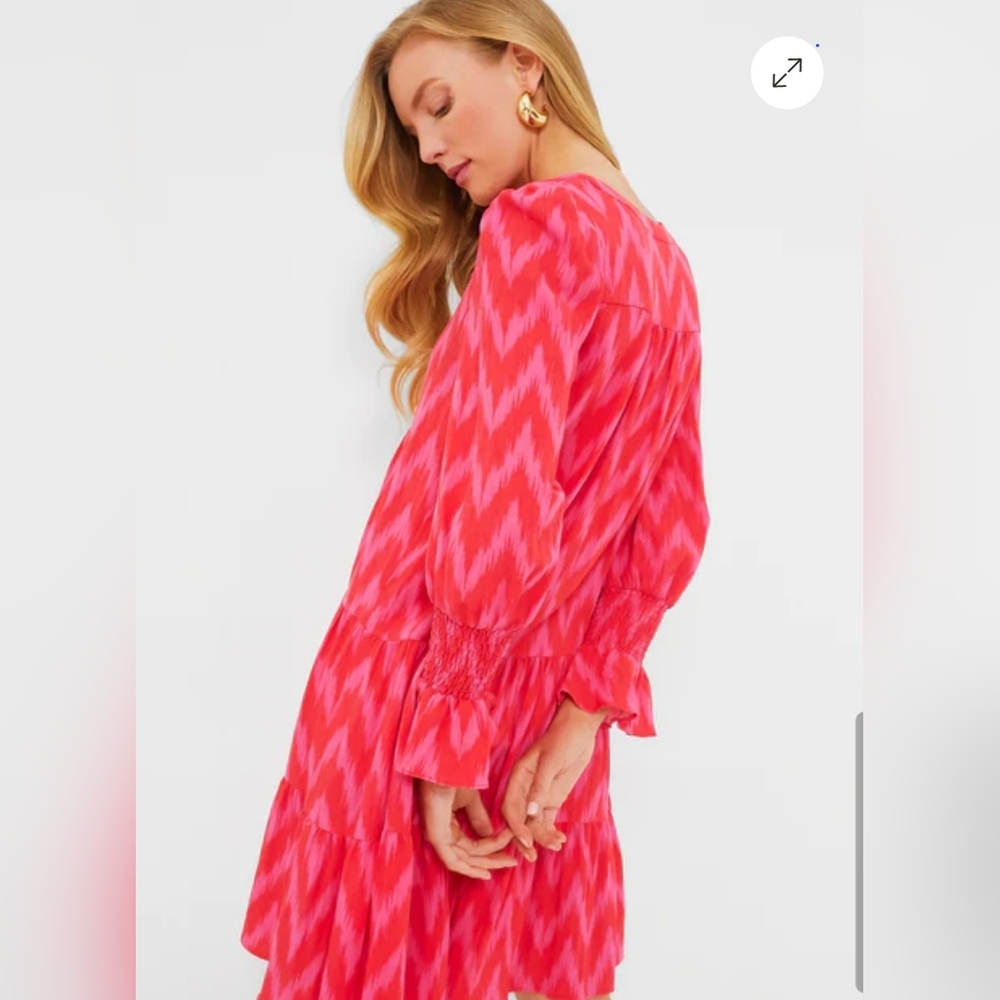 Pomander Place Hot Pink Ikat Kenzo Dress - Picture 3 of 12